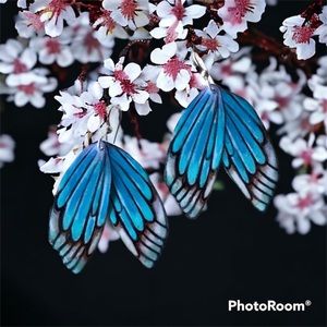BLUE BUTTERFLIES custom painted earrings
